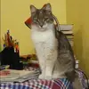 Отзыв от Альбина Хромова